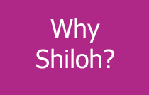 Why Shiloh?
